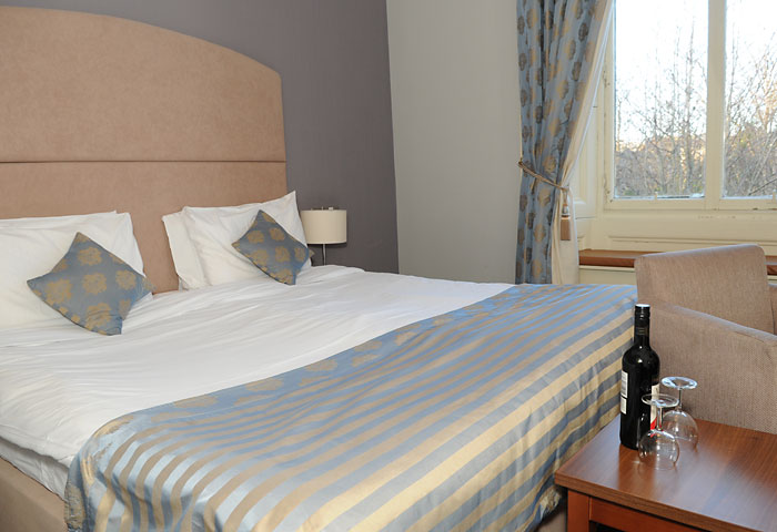 The Salisbury Hotel - Standard Double room